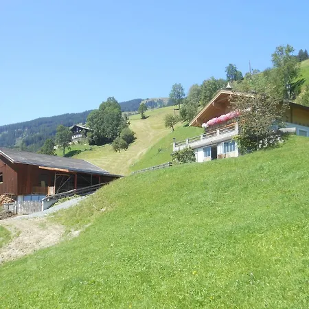 Near The Area, Cleaning Included * Hollersbach im Pinzgau