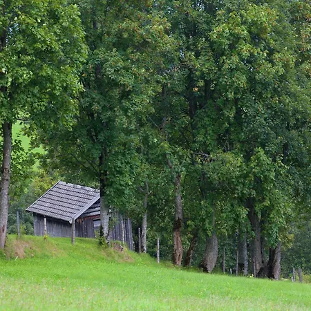 In Hollersbach Near Lift, Cleaning Included Apartment *